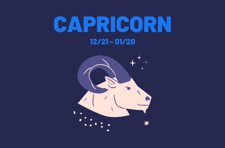 The Zodiac sign Capricorn in its Profession and Career