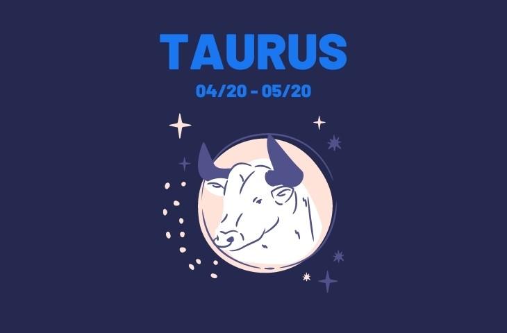 Zodiac sign Taurus | The Taurus Man | Galaxy Academy